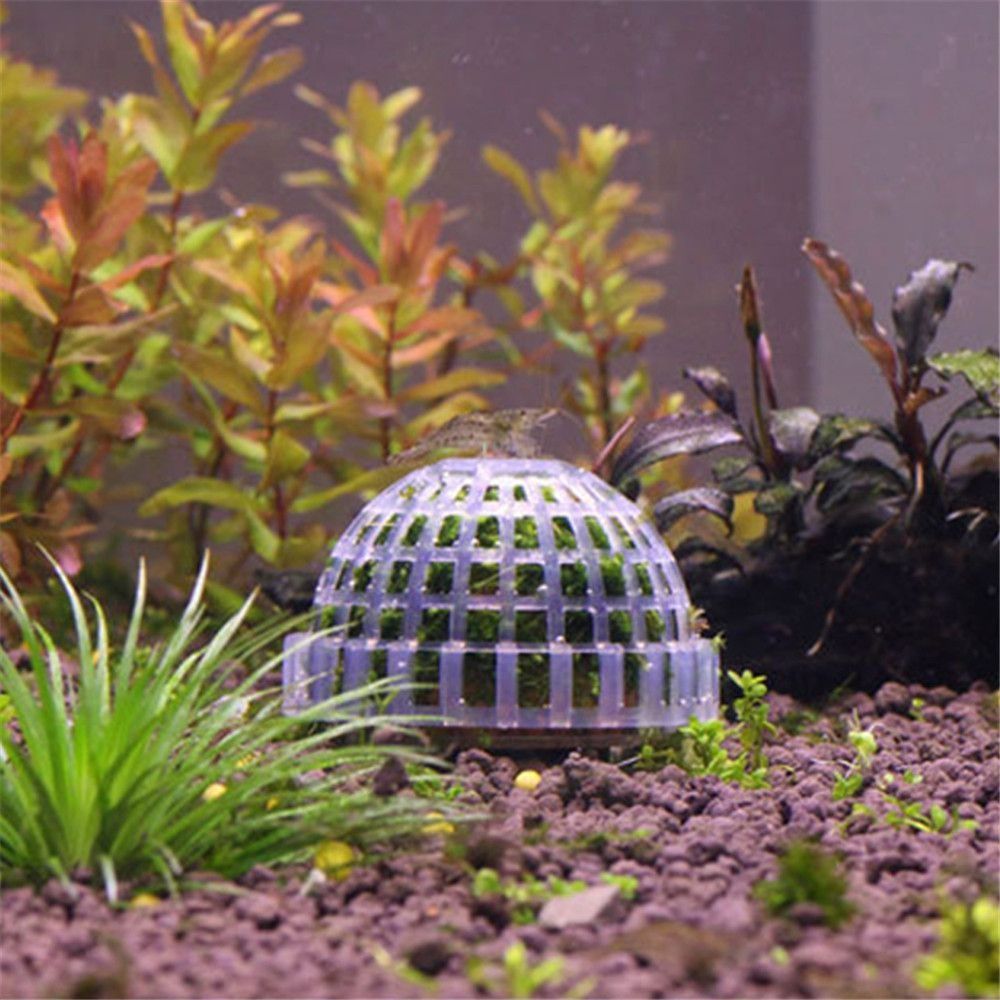 New Plastic Suspension Moss Do - Aquarium Moss 评论和价格