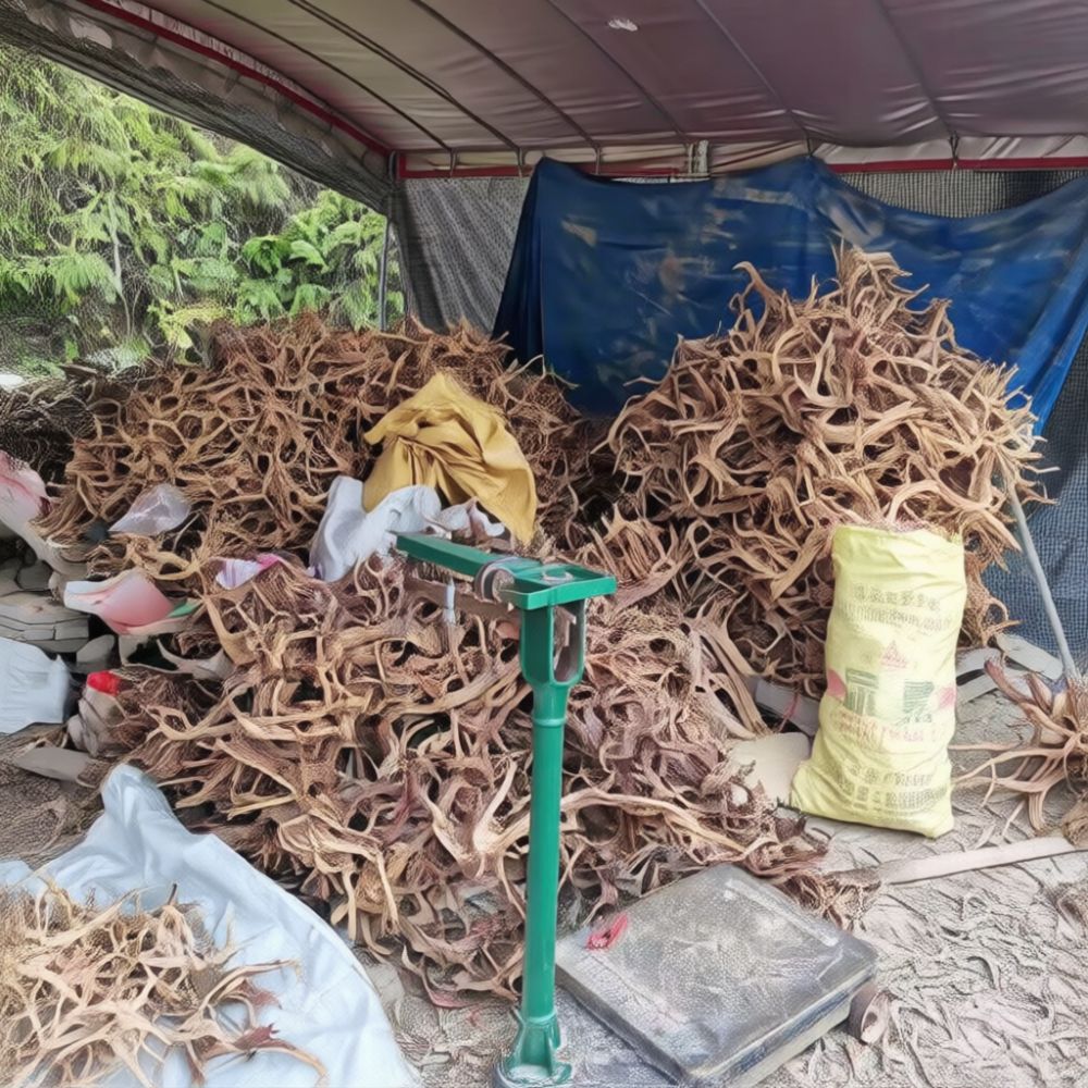 Artificial Driftwood Root Orna - Aquarium Driftwood 评论和价格