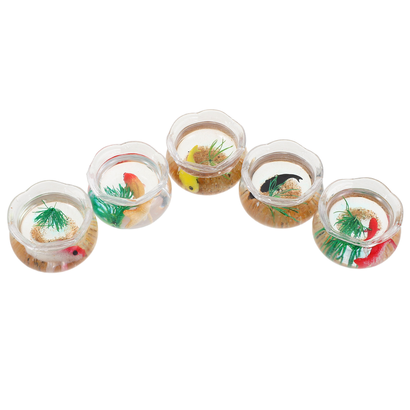 5pcs Mini Koi Fish Tank Set –  - Planted Tank 评论和价格