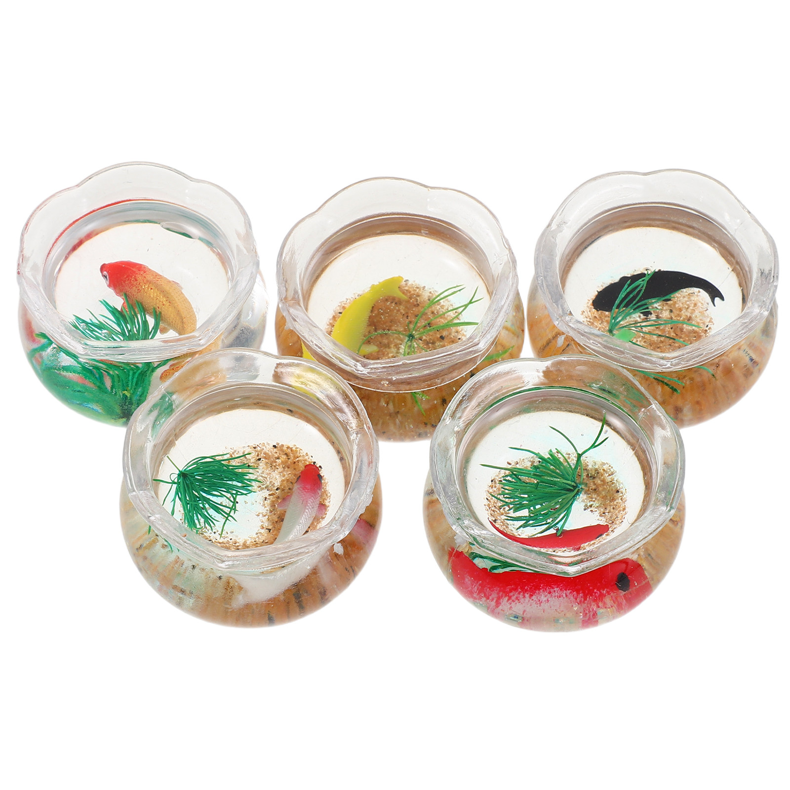5pcs Mini Koi Fish Tank Set –  - Planted Tank 评论和价格