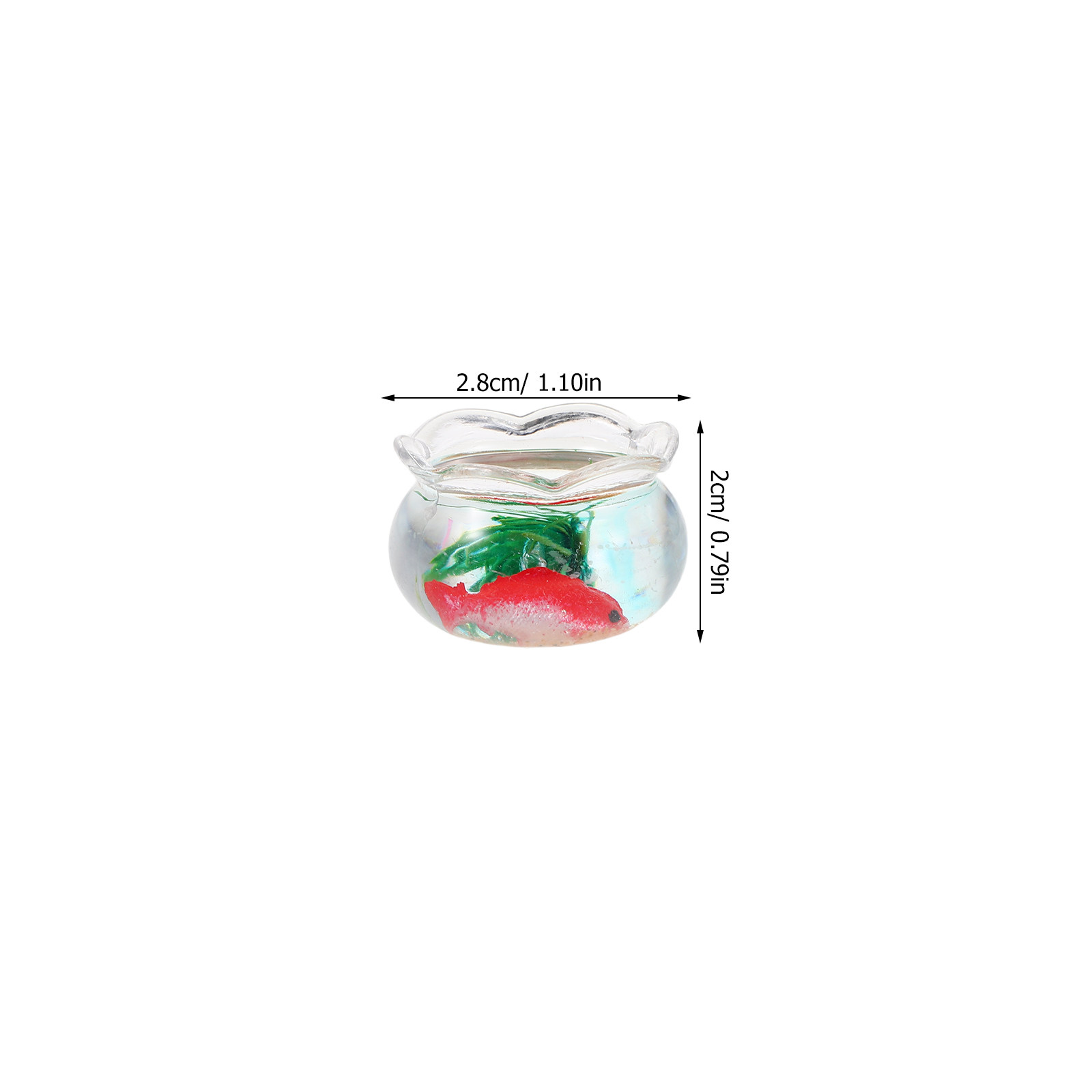 5pcs Mini Koi Fish Tank Set –  - Planted Tank 评论和价格