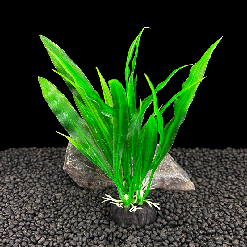 6pcs Packs Aquarium Plants, Fi - Aquarium Moss 评论和价格